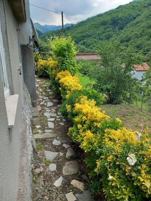 Willa Il Non Ti Scordar Di Me Valbravenna Zewnętrze zdjęcie